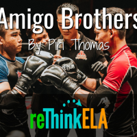 Amigo Brothers Curated Resources