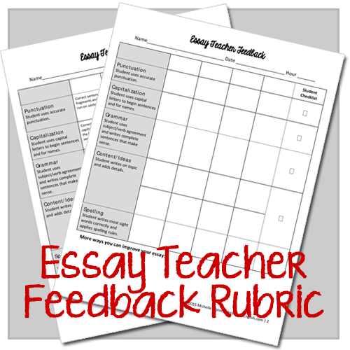 Essay Teacher Feedback Rubric