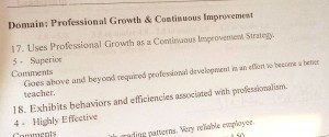 Professional Growth and Continuous Development