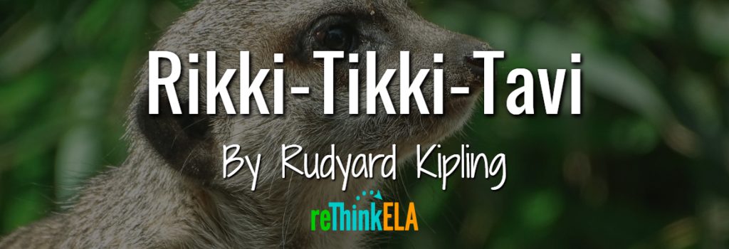 Rikki Tikki Tavi